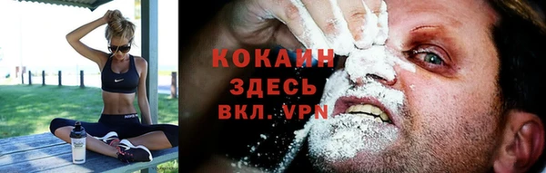 МДПВ Кукмор