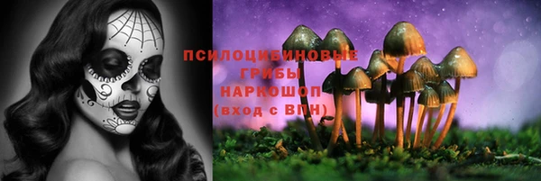 шишки Куйбышев