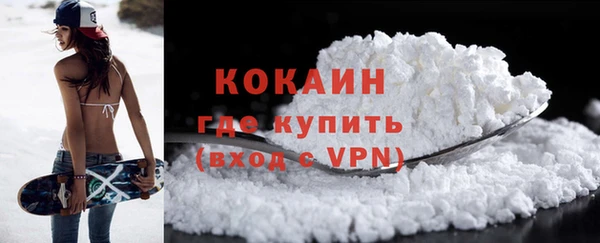 шишки Куйбышев