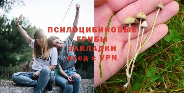 шишки Куйбышев