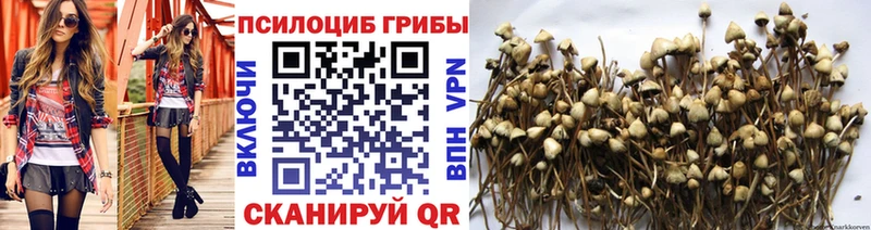 Галлюциногенные грибы мухоморы  Юрьевец 